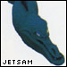 Jetsam