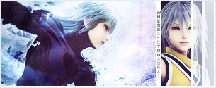 Riku Signature / Banner