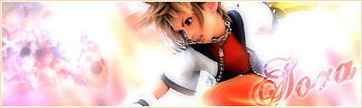 Kingdom Hearts 2 Sora Skrik Signature