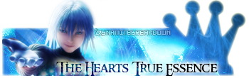 Kingdom Hearts 2 Riku Tsugasa Signature